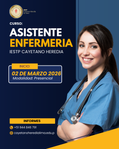ASISTENTE EN ENFERMERÍA